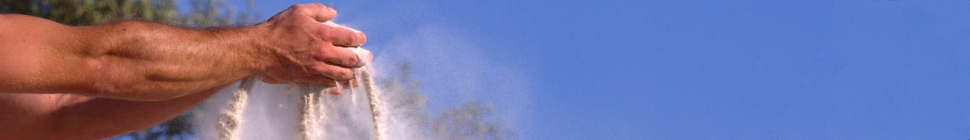 p i n g 1 header image 1