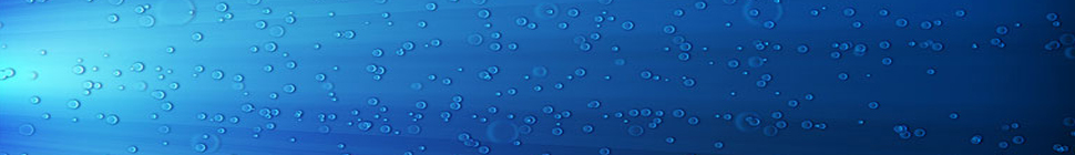 p i n g 1 header image 2